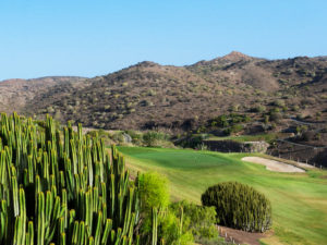 Spain – ‘Birdies in the Canaries’