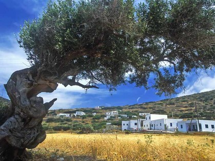 Greece – ‘The Jewel of the Cyclades’
