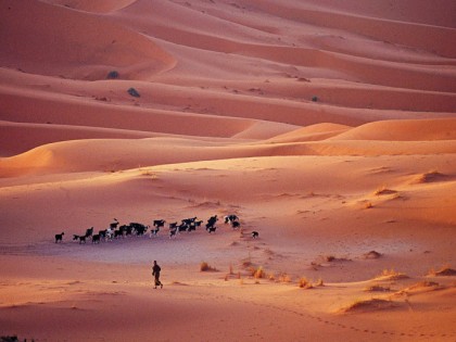 Morocco – ‘Marrakech to the Sahara’