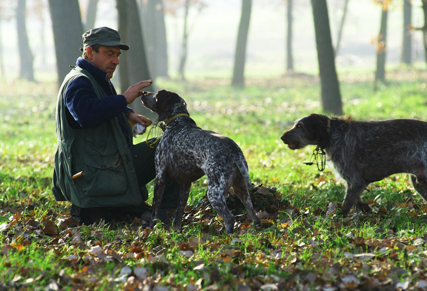 Italy - 'White Truffles of Piedmont'